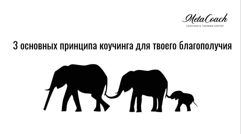 3 основных принципа коучинга для твоего благополучия