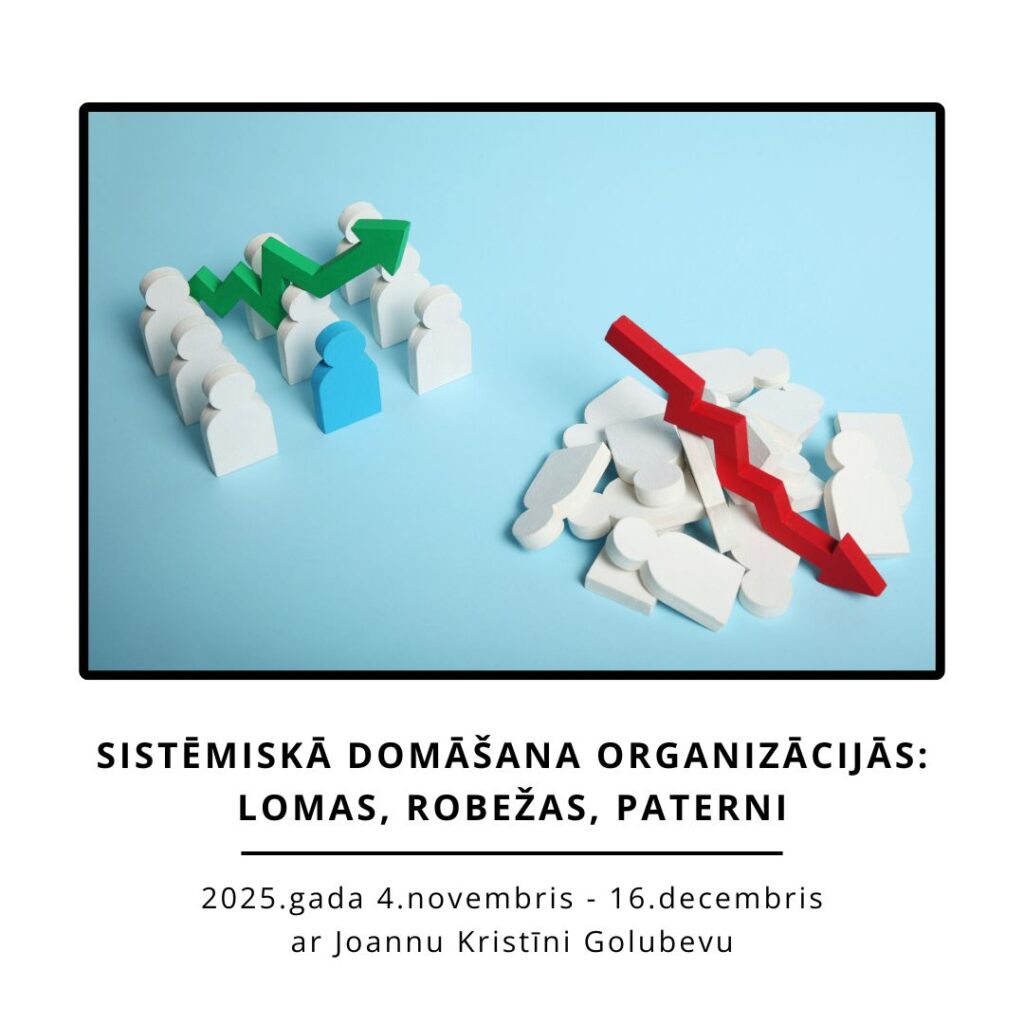 Sistēmiskā domāšana organizācijās: lomas, robežas un paterni