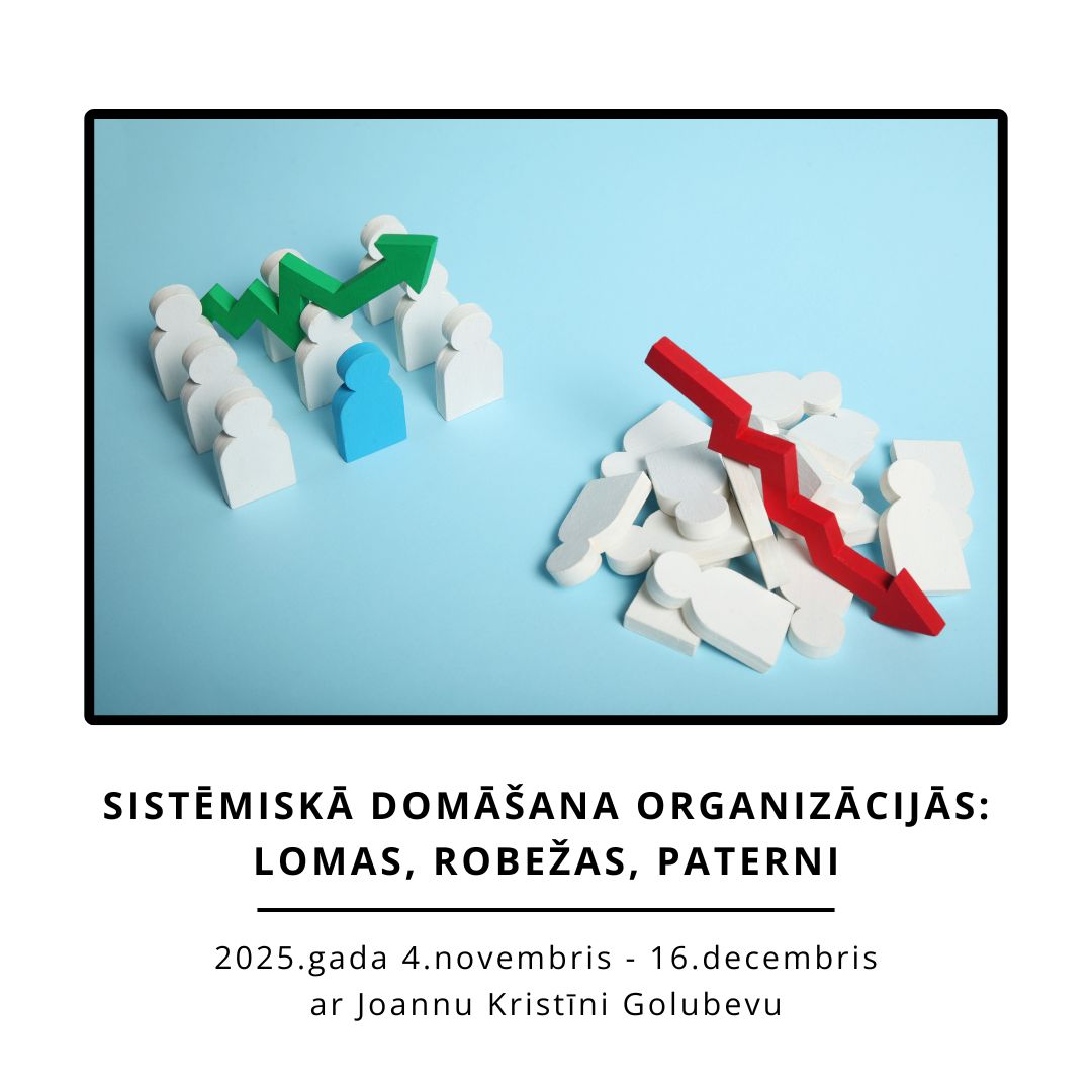 Sistēmiskā domāšana organizācijās: lomas, robežas un paterni