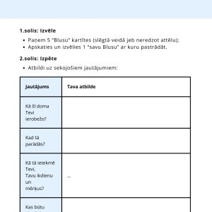 DARBS AR BLUSU - DARBA LAPA